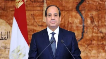 السيسي يوجه بمتابعة المخزون الاستراتيجي للسلع الأساسية خلال اجتماع رئاسي موسع